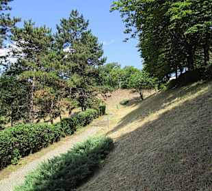 Cetatuia Park