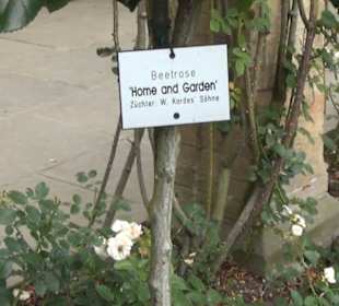 Innerer italienischer Rosengarten