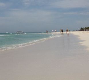 Strand Wynham Azteka