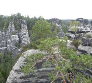 Blick auf die Felslandschaft im Bastei-Massiv