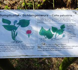 Infotafel am Wegrand