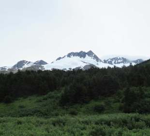 Mit der Train in der Natur Alaskas