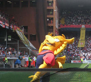 Genoa - Mascotte in campo