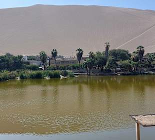 Oase Huacachina