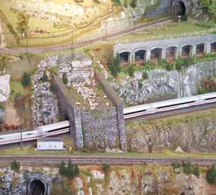 ICE auf der Haauptbahn