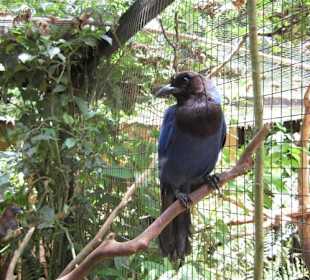 Exotische Fauna und Flora zum anfassen