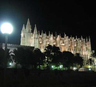 La Seu vom gegenüberliegendem Ufer aus