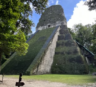 Tikal - Das Erbe der Maya