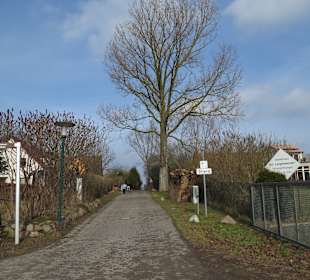 Der kurze Weg zum Strand
