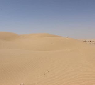 Rub Al Khali Wüste