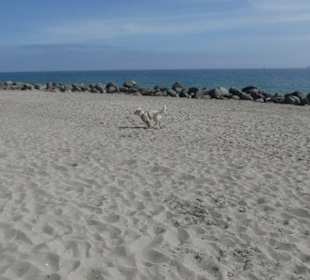 Strand Travemünde