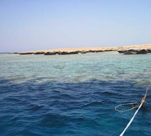 Mal wieder allein am Riff