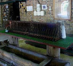 Muzeum Warzelnictwa i Lecznictwa Uzdrowiskowego