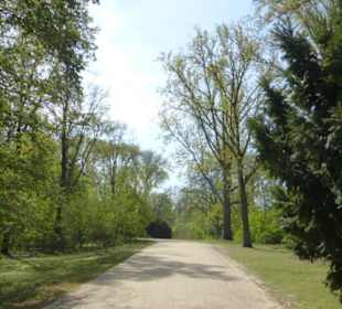Unterwegs im Großen Tiergarten in Berlin