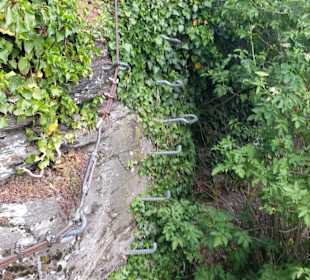 Wandern Zell (Mosel)