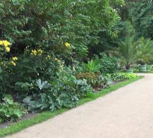 Ehemaliges Palmenhaus