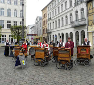 Altstadt Schwerin, Frühlingserwachen