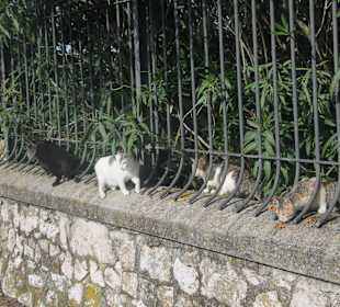 Abtei Montecassino