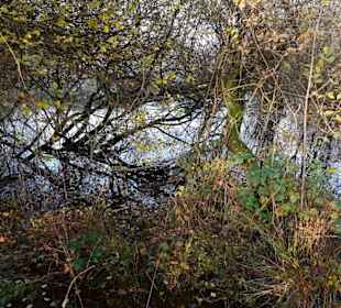 Niederung Hervester Bruch