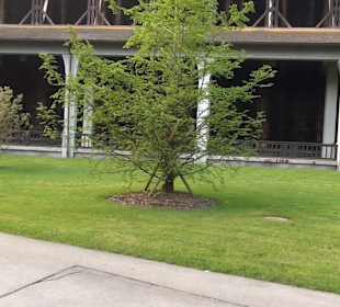 Königlicher Kurgarten