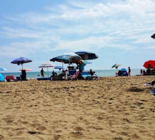 Am Hundestrand freier Bereich