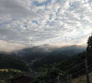 Wandern Gengenbach