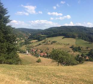 Wandern Freiamt