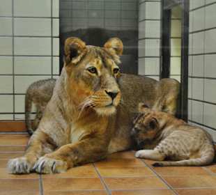 Zoo Dortmund