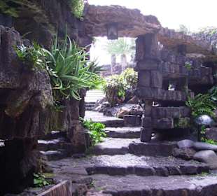 Jameos del Agua
