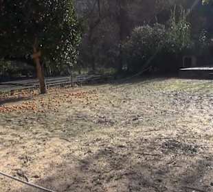 Gartenanlage - Spektakel im Garten