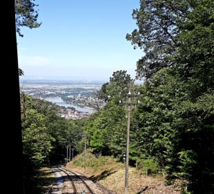 Fahrt mit der Königstuhlbahn