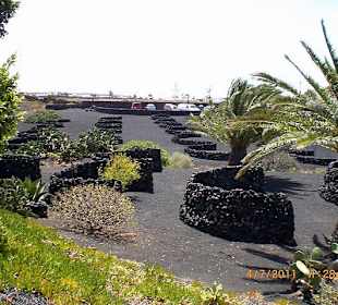 Garten vor dem Gelände