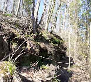 Rodalber Felsenwanderweg in Rodalben