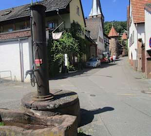  Dornröschen-Rundwanderweg