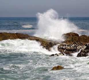 Wellen des Atlantiks an der Nordmole des Douro