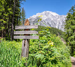 Wandern Leogang
