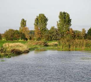 Impressionen von der Weserinsel Harriersand