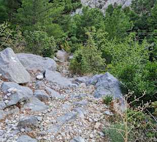 Wandern Duce Glavica