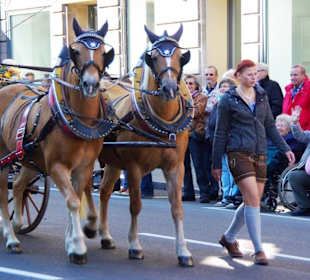 Kutsche mit Erntekönigin