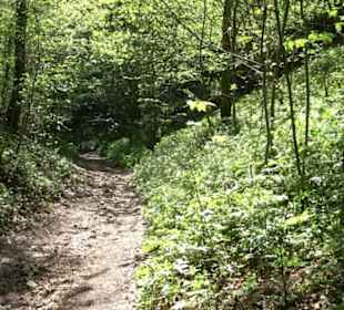 Premiumwanderweg Hochgehschätzt
