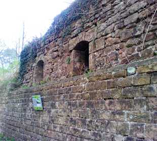 Burgruine Hohenburg in Homburg