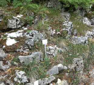 Schwäbische Alb