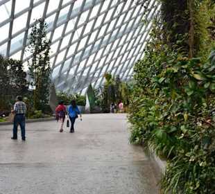 Gardens by the Bay