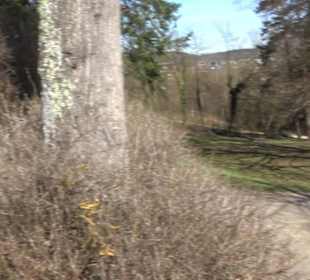 Premiumwanderweg "hochgeblickt"