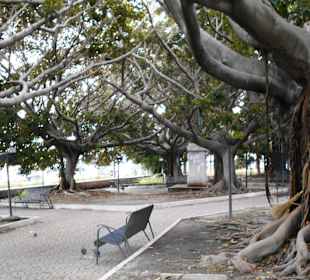 Park der Villa Mazzini