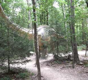 Dinosaurier Museum Altmühltal