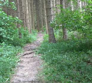 Barfußpfad Tieringen