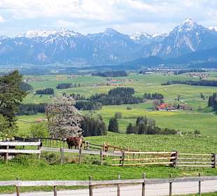 Wandern Eisenberg
