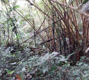 Cachoeira da Pedra Branca
