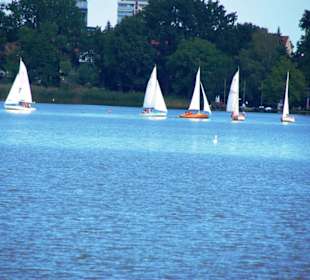 Segeln am großen Dutzendteich